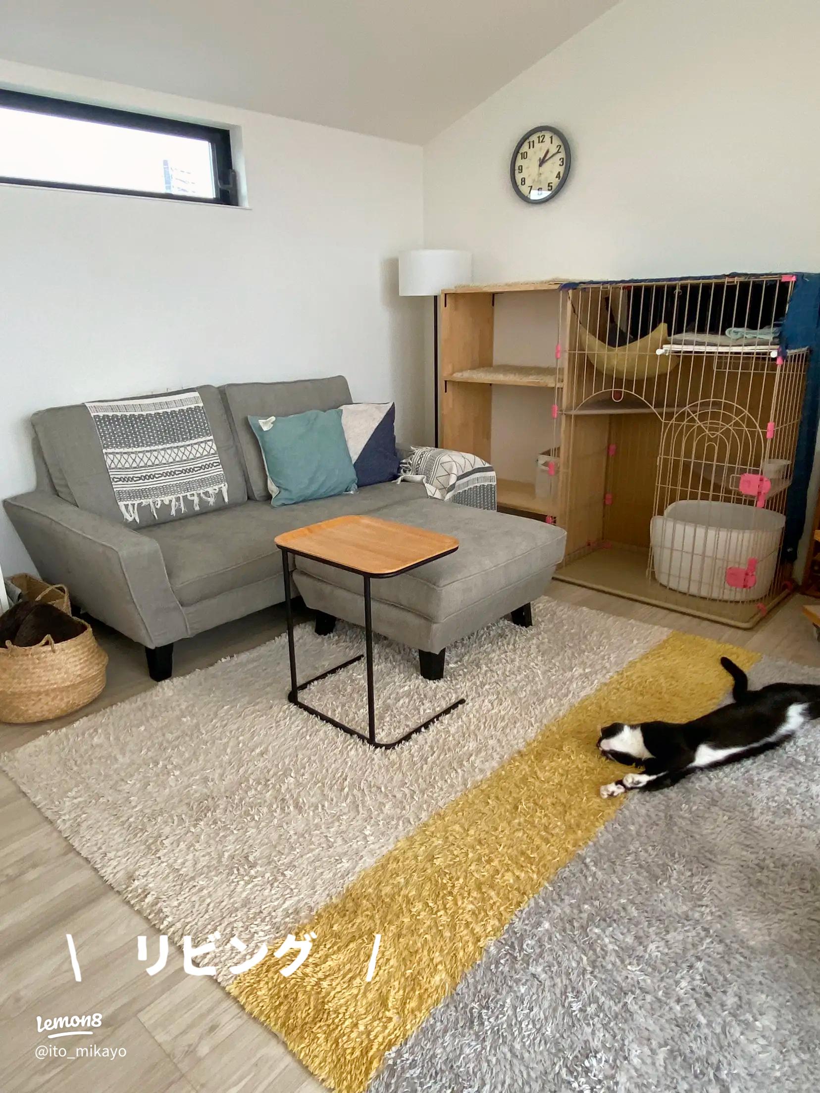 プロが解説 猫がいるお家のリビングレイアウト全10パターン！運動できるスペースづくりと猫用トイレの置き場所がポイントHello InteriorNOTEノート