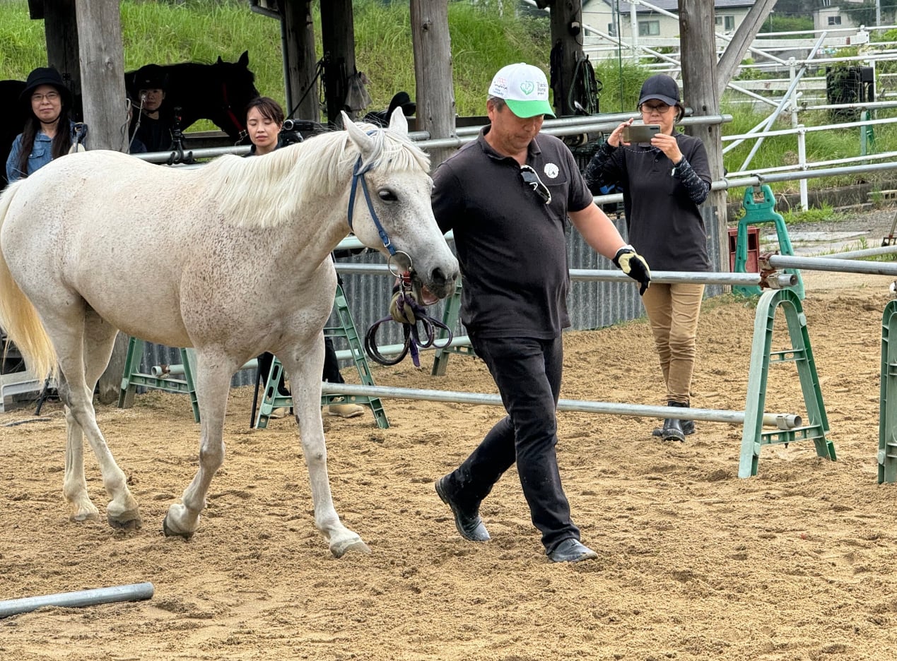 調教 - 🏇UNIVERSAL STALLION