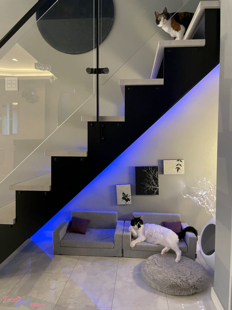 階段下スペースの活用法とは？おしゃれにみせる階段下の有効活用術を伝授WOODONE ウッドワン マガジン広島の住宅建材メーカーWOODONE ウッドワン が発信する住宅オウンドメディア