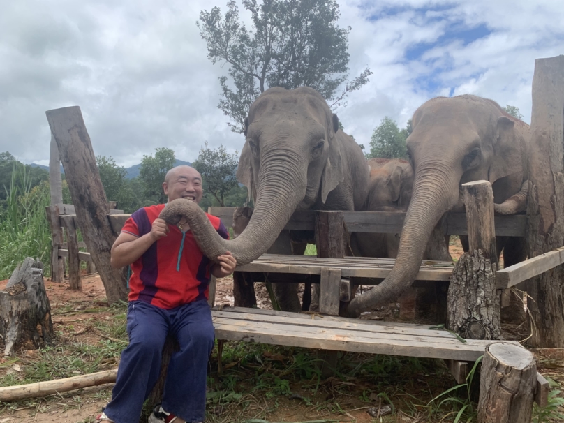 タイ住みます芸人 あっぱれコイズミ「タイの象たちを守りたい！」象の保護施設を応援するクラウドファンディング開始！ |