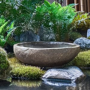 信楽焼 睡蓮鉢 メダカ鉢 おしゃれ めだか鉢 陶器 水鉢 ビオトープ 金魚鉢 信楽焼き スイレン鉢 ハス鉢 19号黒肌変形すいれん鉢 su-0070