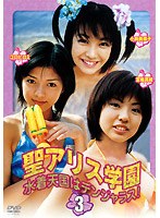 新品】聖アリス学園 水着アタックでビーチを救え！ DVDBOX未開封 金田美香