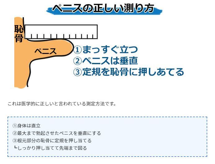 カリ高ペニスになる方法とは？カリ高の基準・亀頭増大のメリットなど - メンズラボ