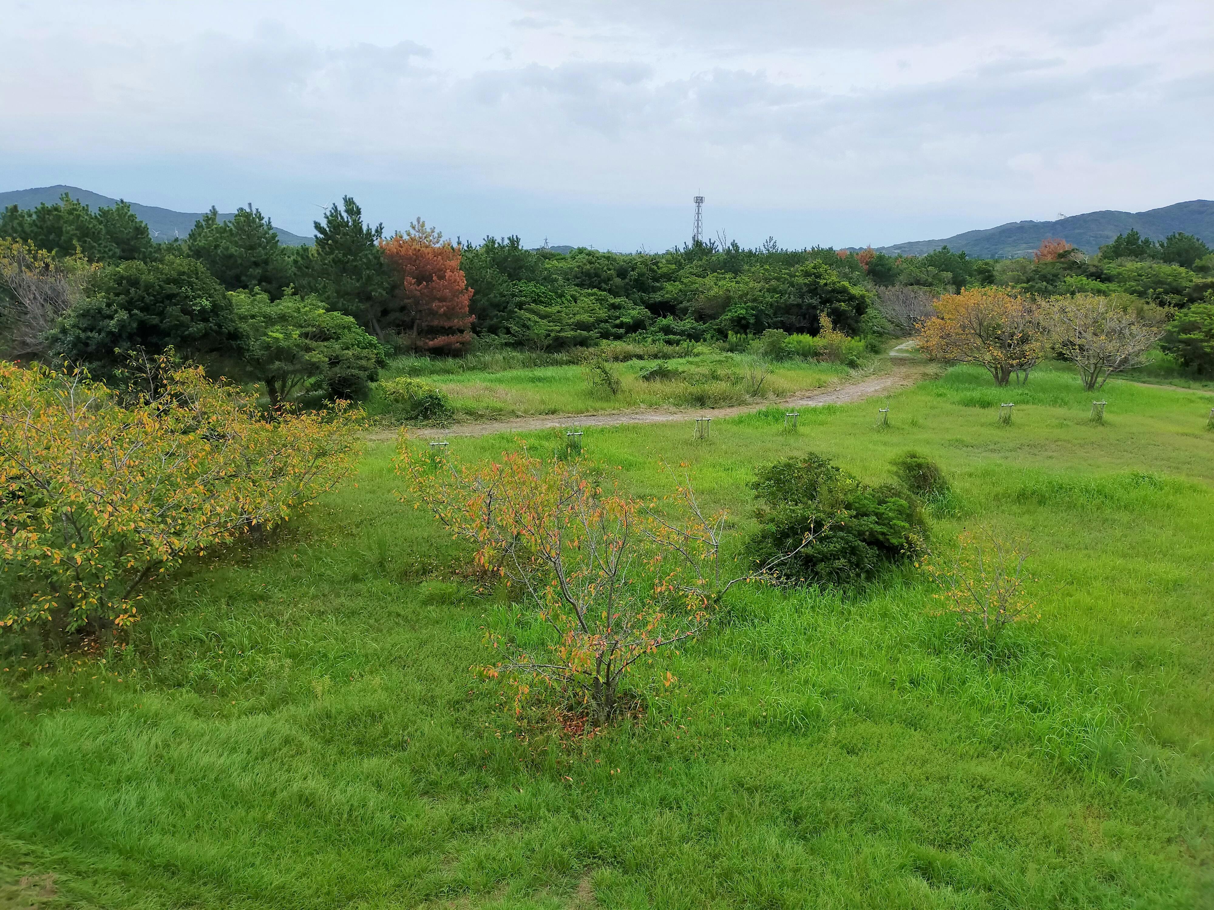 休暇村 伊良湖 - 田原市その他/ホテル