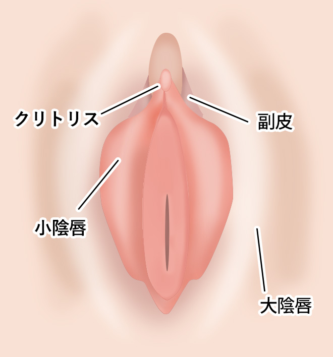 パコ撮りNo.44 プックリ大きくなったJ○のクリトリスを摘まみながらピストンすると中イキを繰り返し「どうして中に出してくれないのぉ！」と懇願されたので思いっきり中出しした！  - honto電子書籍ストア