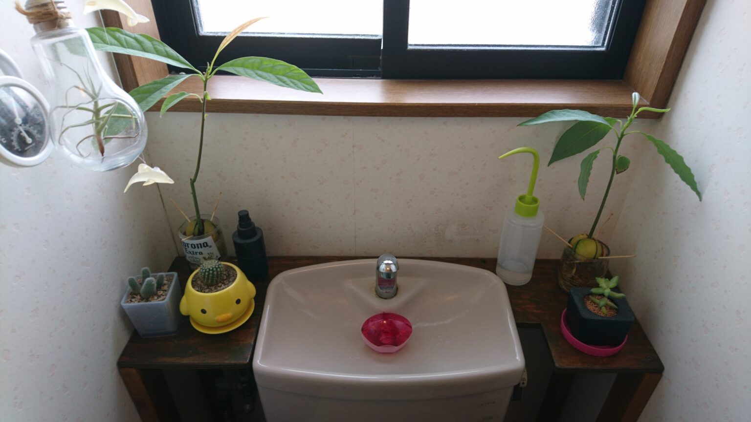 棚でトイレをすっきり収納！100均アイテムでコンパクトラックをDIYCHINTAI情報局