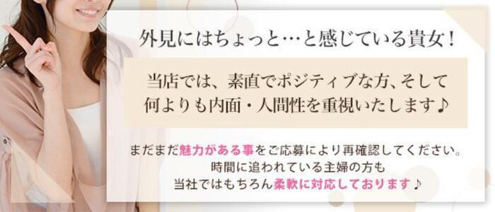 姫路デリヘル クリスタルの求人情報｜姫路・加古川・明石のスタッフ・ドライバー男性高収入求人｜ジョブヘブン