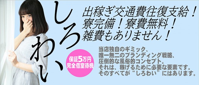 日払い・週払いありの風俗男性求人・高収入バイト情報【俺の風】