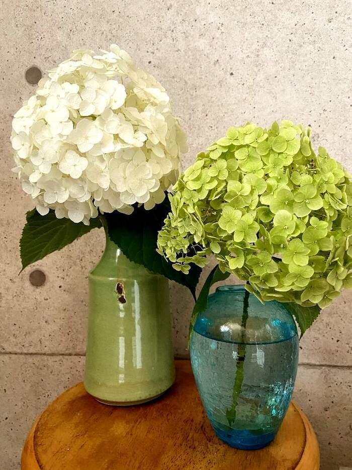 フェリシモ公式 おすすめの紫陽花 雑貨アイテム情報FELISSIMO