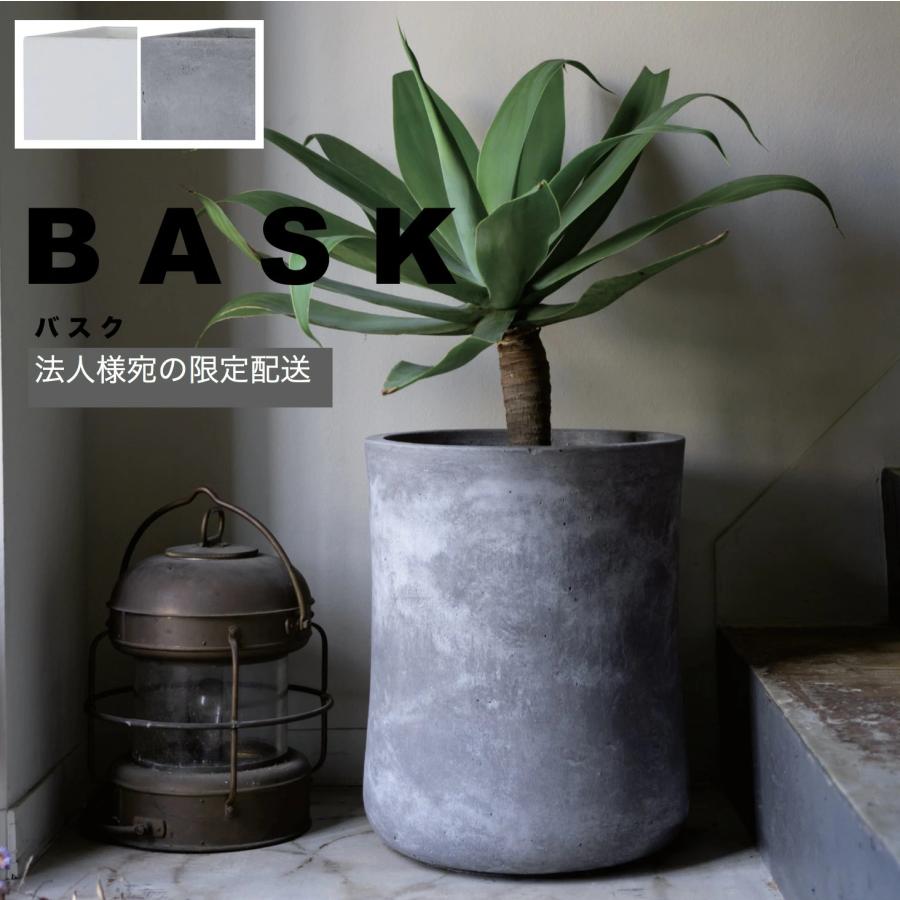 おうちにこだわるなら 外構にもこだわりませんか？🌱 今回はアルミ×植物の演出が素敵な こちらの外構です💁🏻‍♀️ どうしてもアルミ商品が入ると、パキッとかっこいい雰囲気になりますよね💭 そのかっこよさに植物を加えることで、 *洗練された*でも、どこかやわらかい