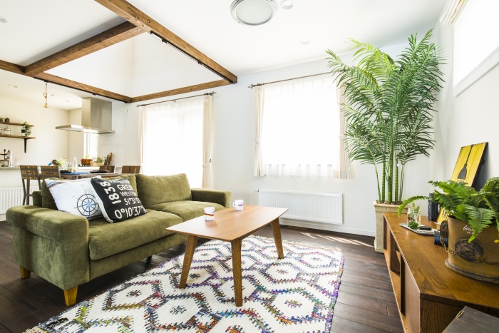 参考にしたい！観葉植物のコーディネート事例を集めました 観葉植物の基礎知識APEGO