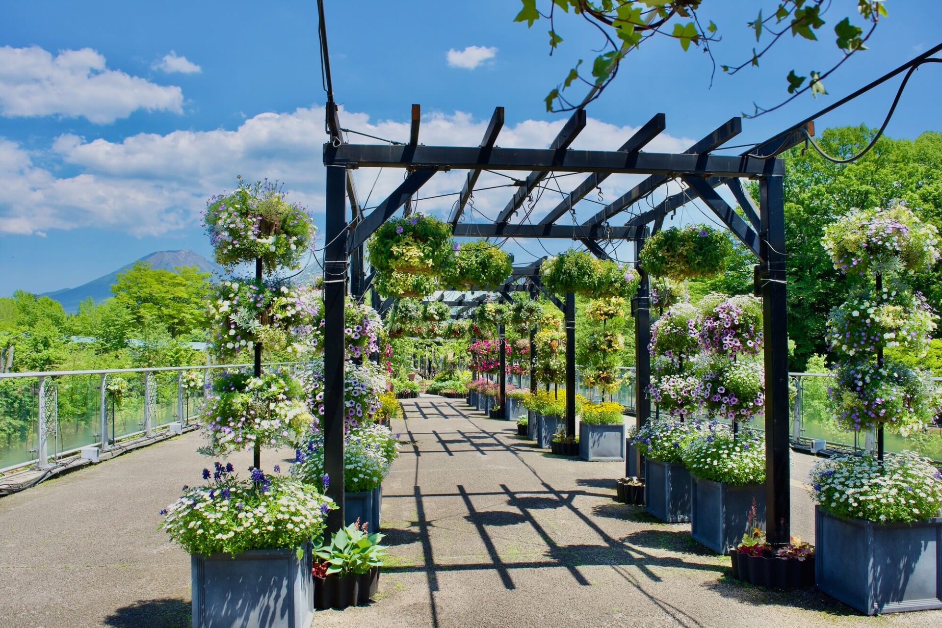 パーゴラとは？人気商品のおすすめ10選キロ本店