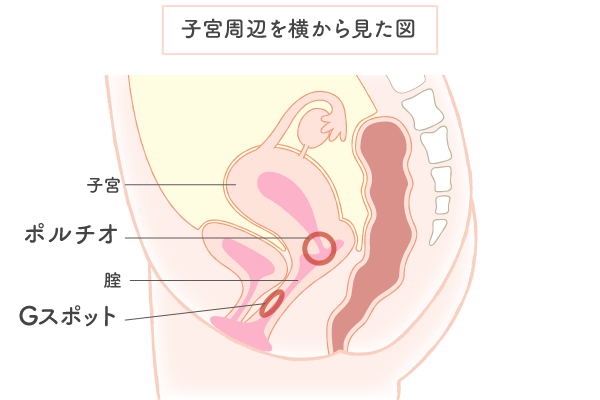 女性が中イキしやすくなる方法やコツからできない原因まで解説 | コラム一覧｜ 