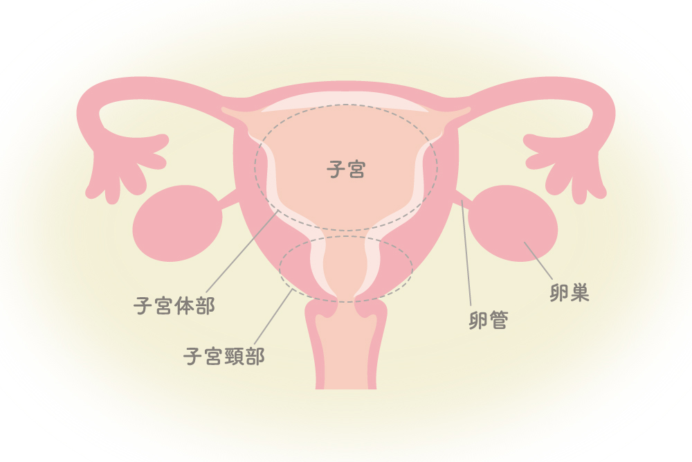 妊活を正しく知る 女性のからだナビ | ロート製薬: 商品情報サイト