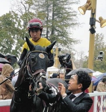 引き馬・調馬索運動の講習会