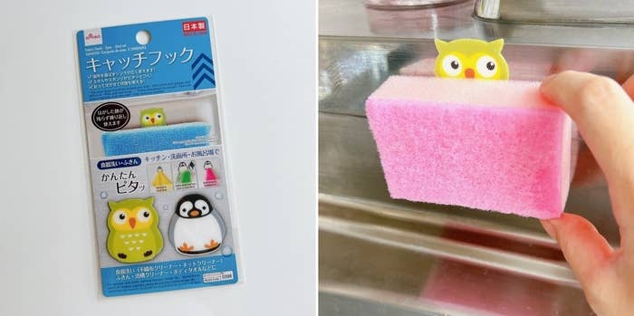 100均 ダイソー『浮かせるスポンジホルダー』お試しレポート 人気商品オレンジページ ニュースデイリーオレンジページnet