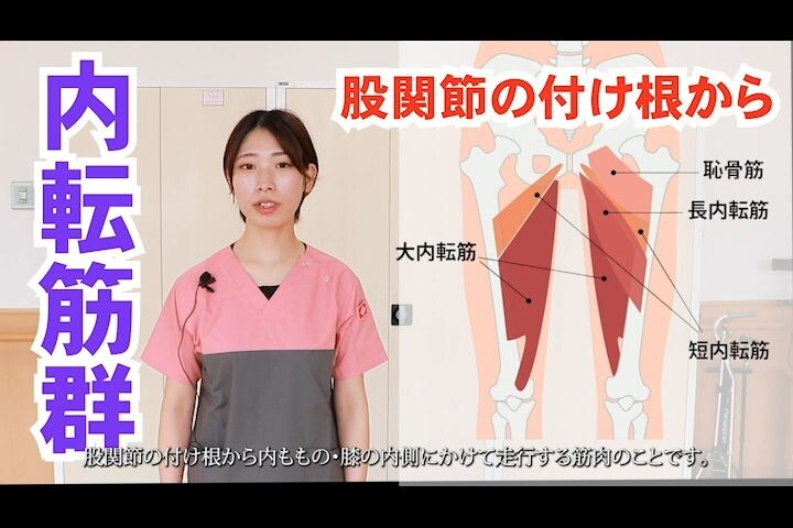 ボディメイクの鍵を握るのは「恥骨」だった!? ほぐし＆刺激の恥骨リリースで引き締まった体を手に入れる | ダ・ヴィンチWeb