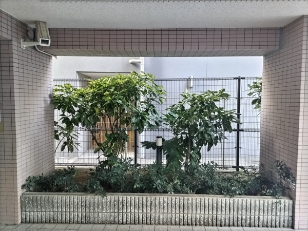 ご確認ください、アルコーブ・玄関ポーチの違い！不動産の豆知識D-LINE不動産 中古住宅仲介とリフォーム・リノベーション