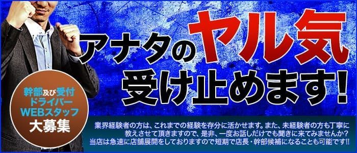 東京セクキャバ・おっパブの求人・体入バイト情報【カンパイ求人No1】