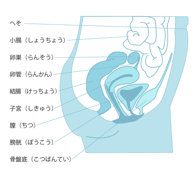 セックスのやり方を徹底解説！基本的な流れや意識したいコツや注意点も紹介｜風じゃマガジン