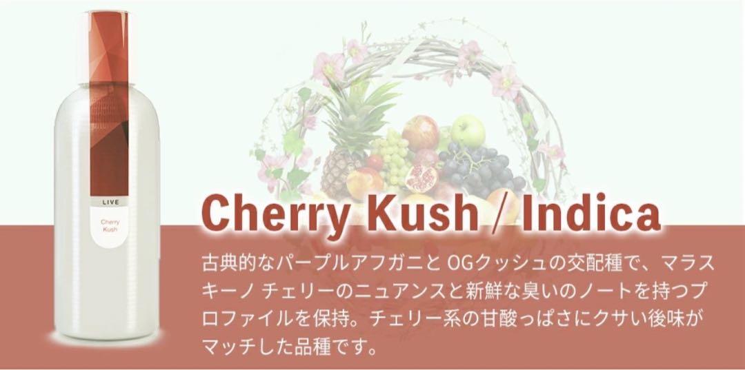 チェリー マッサージ 渋谷店(Cherry Massage)-キレイスタイル