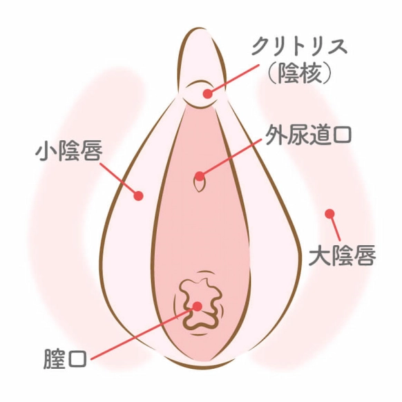 クリイキできないあなたへ！クリイキできない理由と必ずイケる方法を教えます♡｜KaikanNews