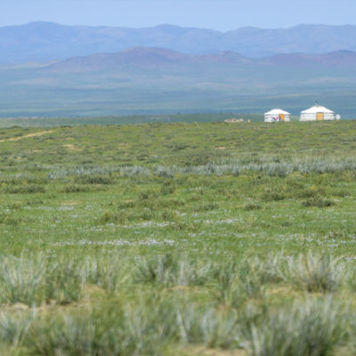 モンゴルのパオとゲルの違いは？遊牧民の知恵が詰まった住居を比較解説 - ツォクトモンゴル乗馬ツアーblog