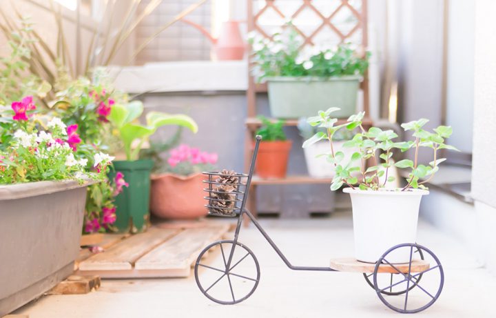 これだけは守りたい！ベランダガーデニング基本のマナー - ベランダガーデニング初心者でも簡単！はじめてのベランダガーデニング