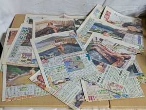 アニキの嫁さん－神谷麗子写真集: 中古 | 島崎英俊【撮影】