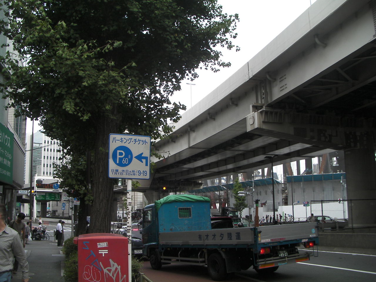 メダカの生態 市ヶ谷フィッシュセンター