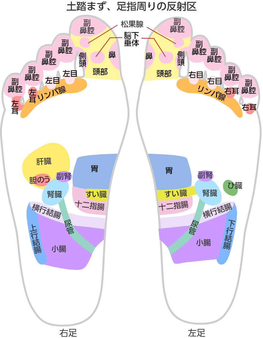 足つぼリフレについて