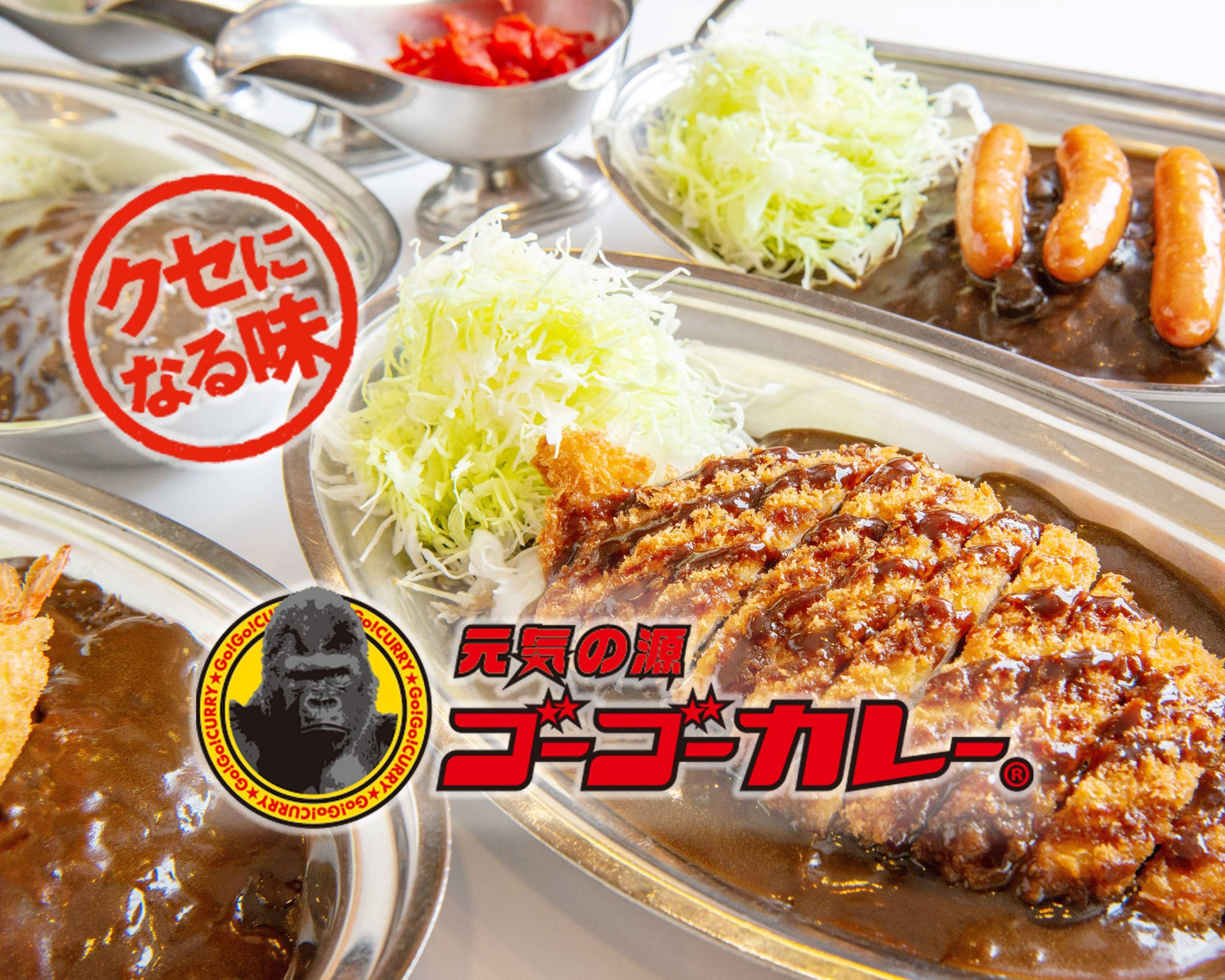 ゴーゴーカレー溝の口ノクティプラザパーク(神奈川県川崎市高津区溝口/カレー店) - PayPayグルメ