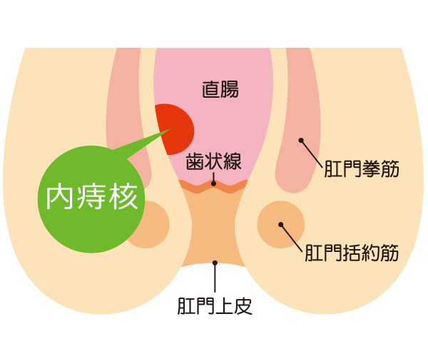 性病・性感染症(STD) | 女性の体のお悩みに寄り添うクリニック