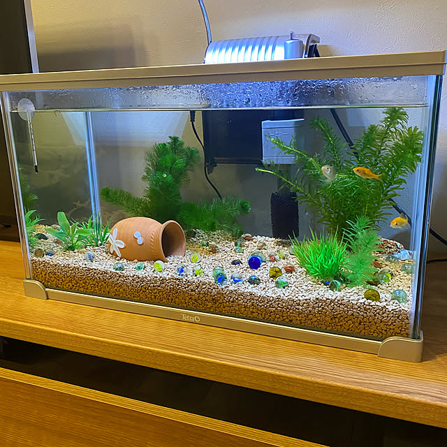 自宅におしゃれなアクアリウムを置こう・写真で見るインテリア水槽の事例東京アクアガーデン