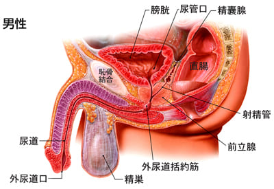 気持ちよく快適に過ごす動画 – らくわ健康教室