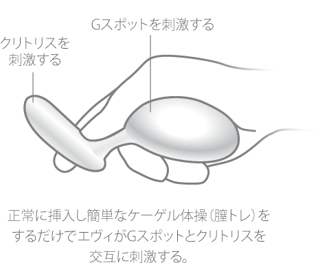 初心者必見】エネマグラとは？正しい使い方とコツ・注意点も合わせて解説｜風じゃマガジン