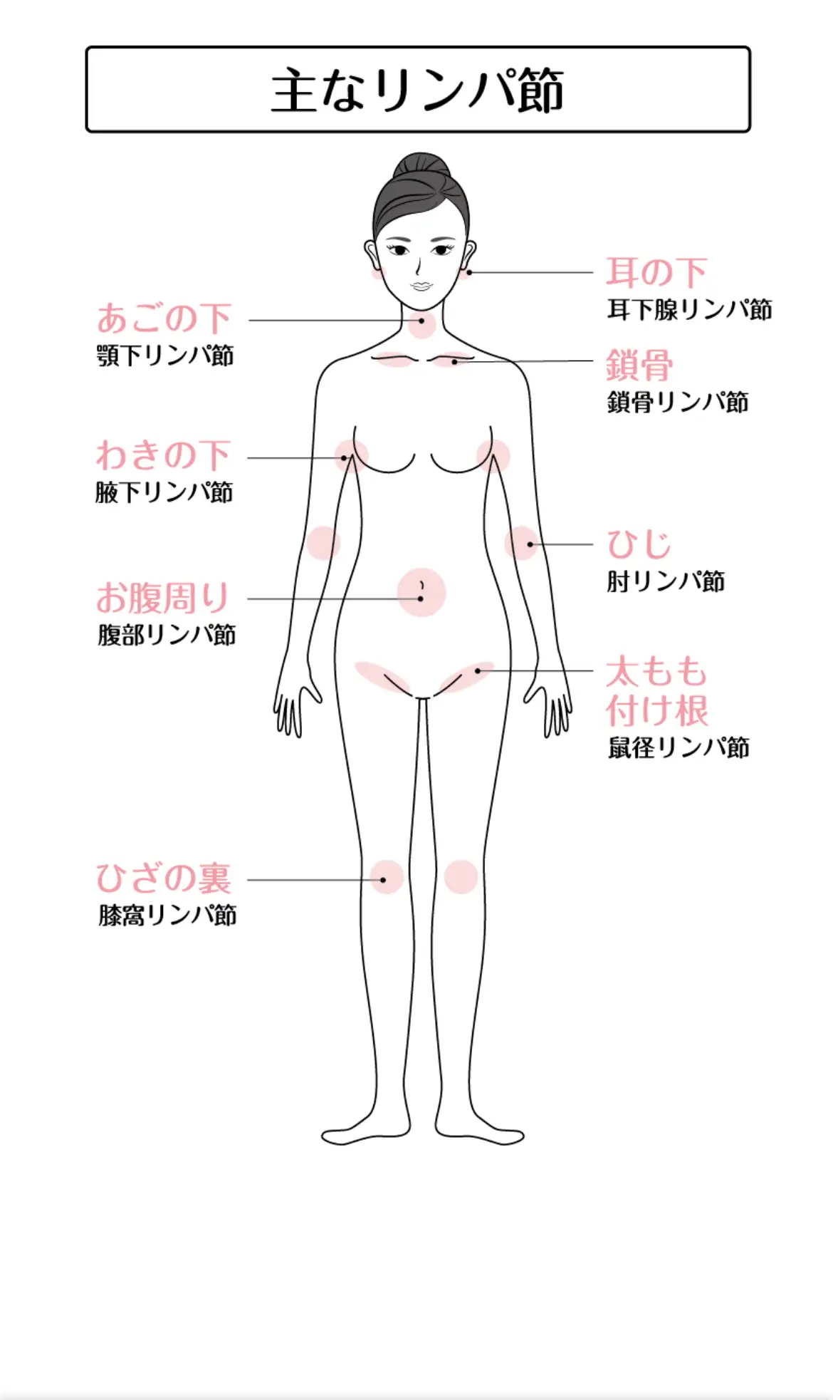 足のむくみでお悩みの方は、ぜひ膝窩リンパ節、鼠径リンパ節の詰まりをケアしてみてください。 リンパマッ｜田川 