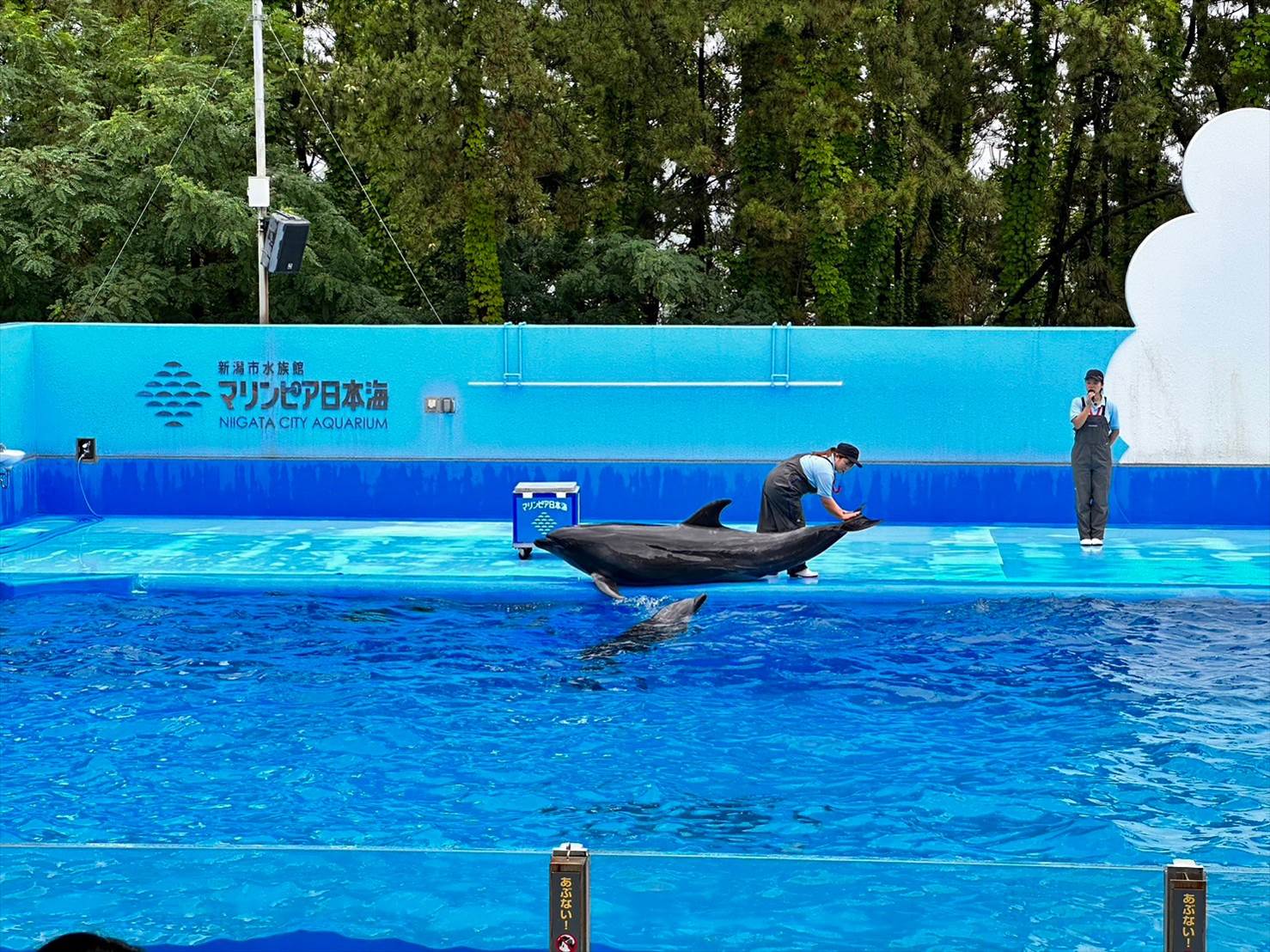 水族館 | 日帰り・宿泊バスツアー人気の格安ぶっ飛びツアートラベルロード