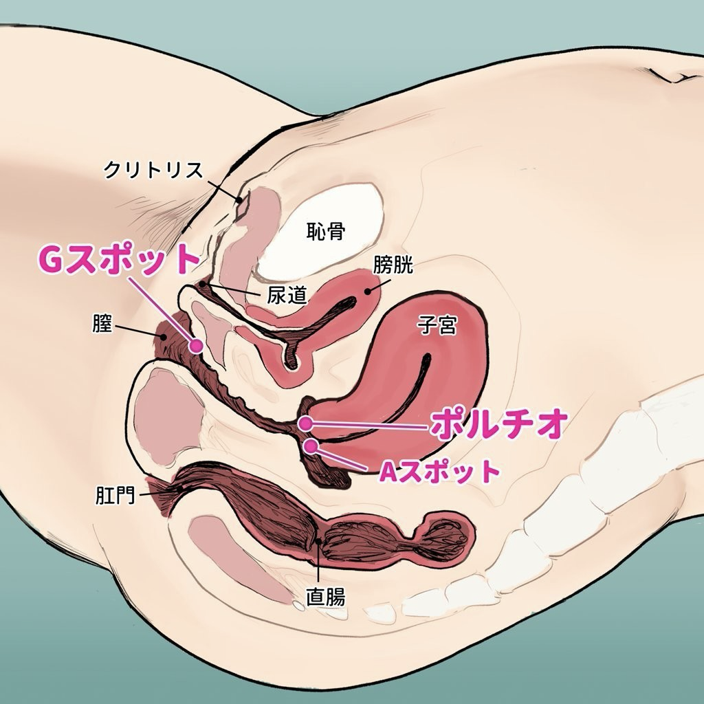 炉姦12 ～アリスたちの膣と感触～ [私立さくらんぼ小学校] | DLsite