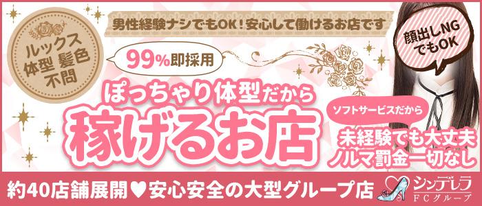 高田馬場・目白の風俗求人【バニラ】で高収入バイト