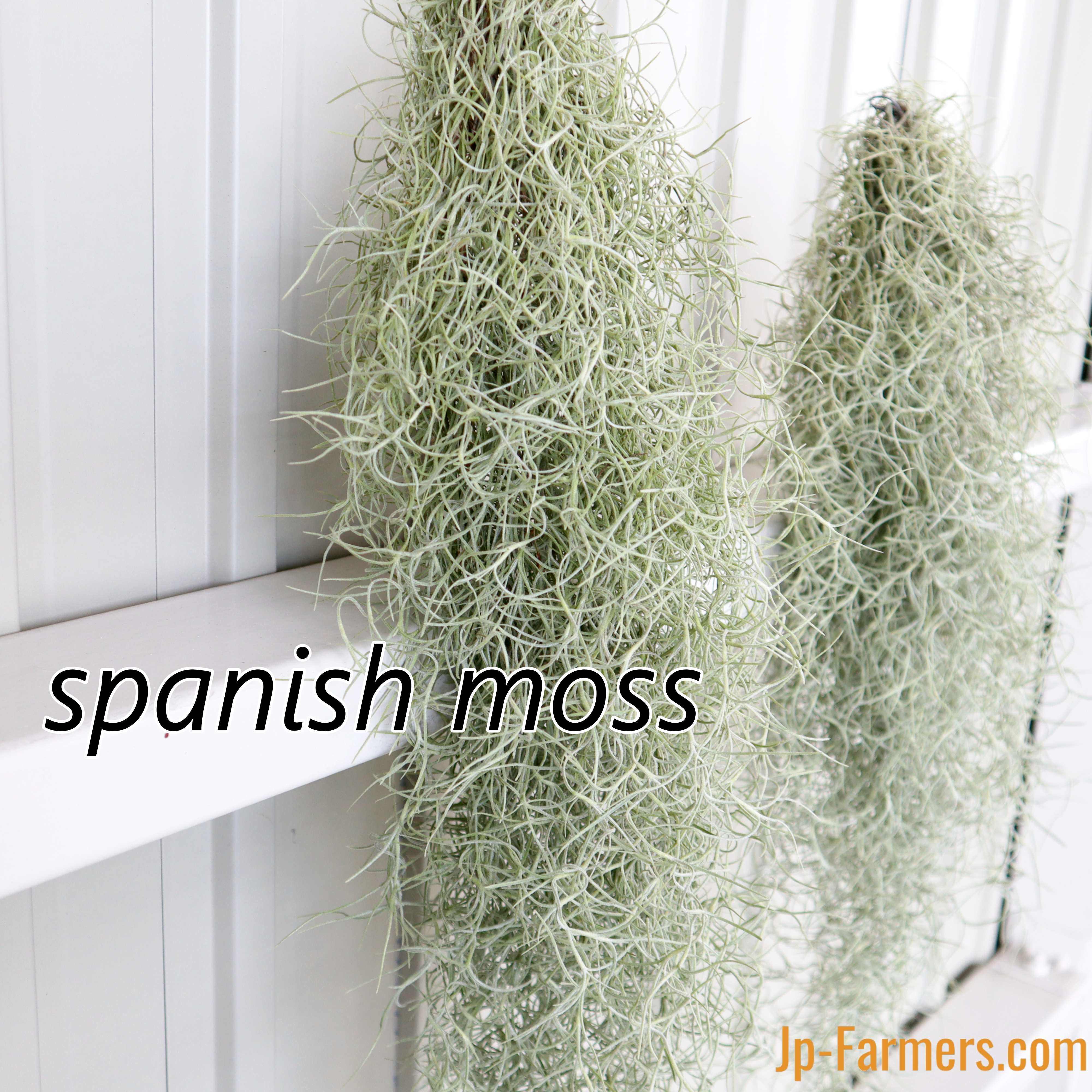 7 件の「モスグリーン インテリア」や「インテリア」のアイデアを見つけましょうインテリア 家具、リビング インテリア、部屋 インテリア など