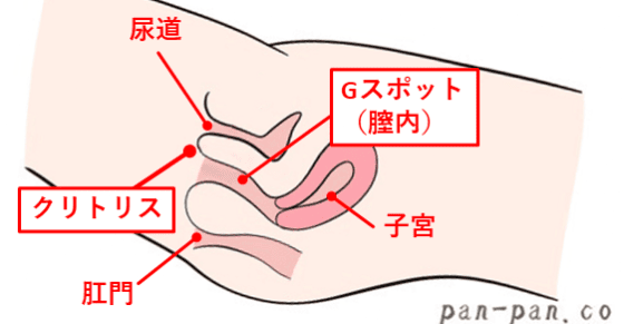 潮吹きさせる方法を徹底解説。潮を吹かせるには3つの条件が必要！