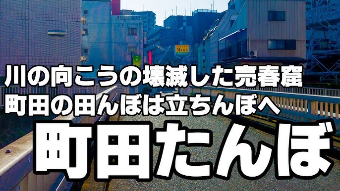 立ちんぼラーメン道 なぜ売春をするのか？, YouTube「ジロリアン陸のチャンネル。」にて公開中, みずきさんの場合,