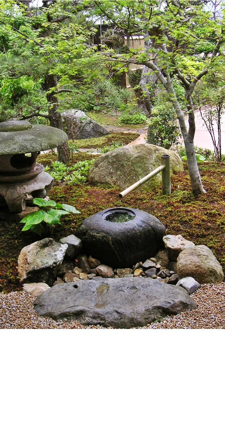 森と湖の楽園／富士の国やまなし観光ネット 山梨県公式観光情報