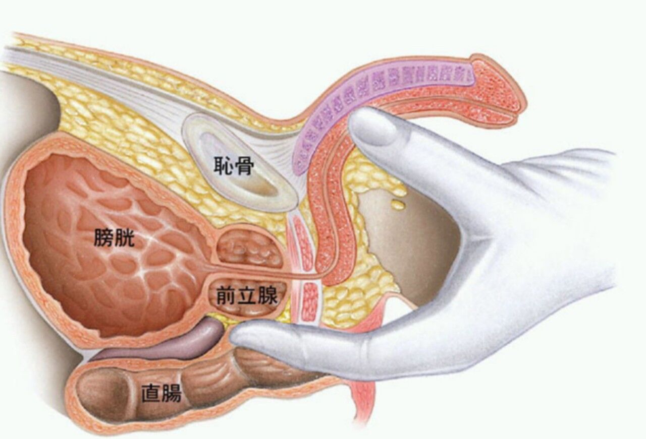 男性のための大人の講座】夜の保健室～秘密の特別授業～