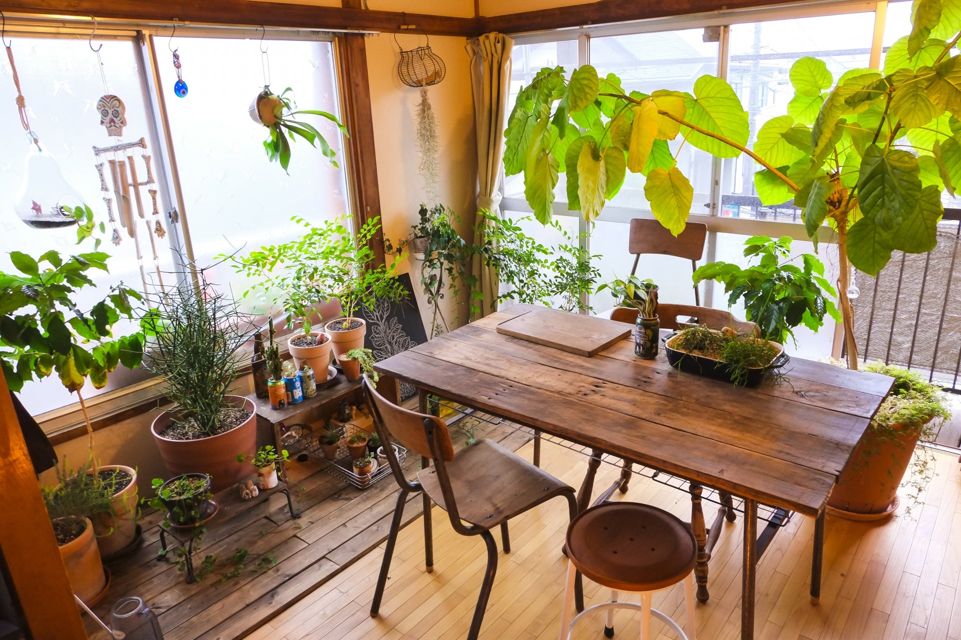 観葉植物でおしゃれなインテリアを実現！厳選35部屋Houzzハウズ
