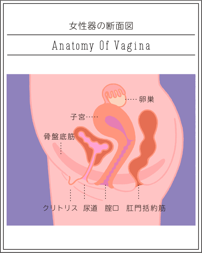 セックスで挿入された感覚がなかった…自分の腟のゆるさを確かめる方法はある？【性の専門家が回答】 | ヨガジャーナルオンライン