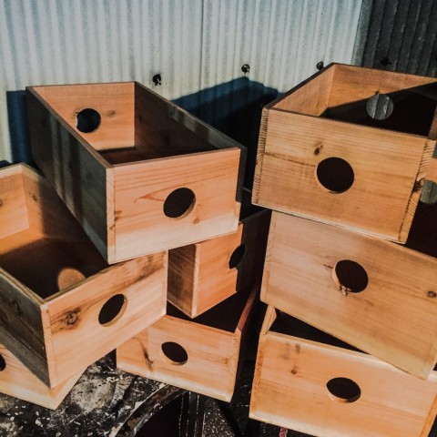 持ち手無しりんご箱 6箱セット 棚 木製 収納 木箱 インテリア 本棚