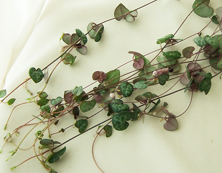 パープルローズとハートカズラのヘッドドレス 髪飾り 8輪 - 商品詳細 造花ウェディングブーケの通販 フランネリカ