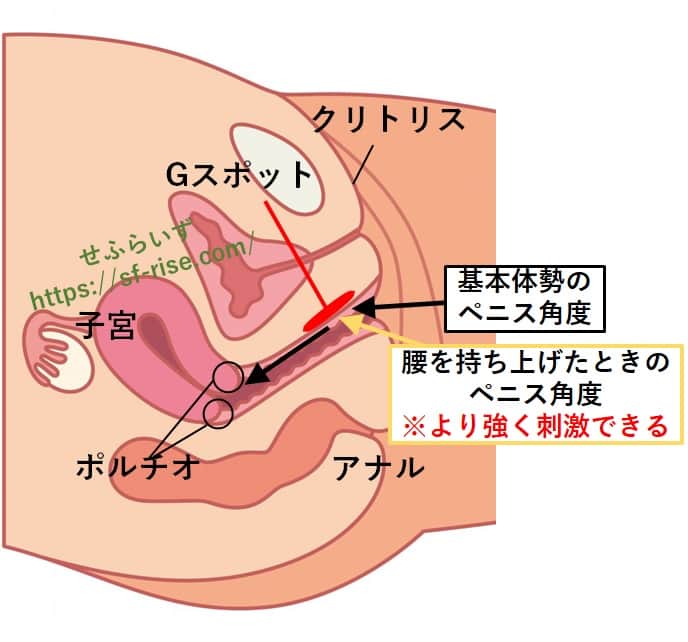 正常位のやり方とコツ！動き方の基本から練習方法まで紹介｜風じゃマガジン